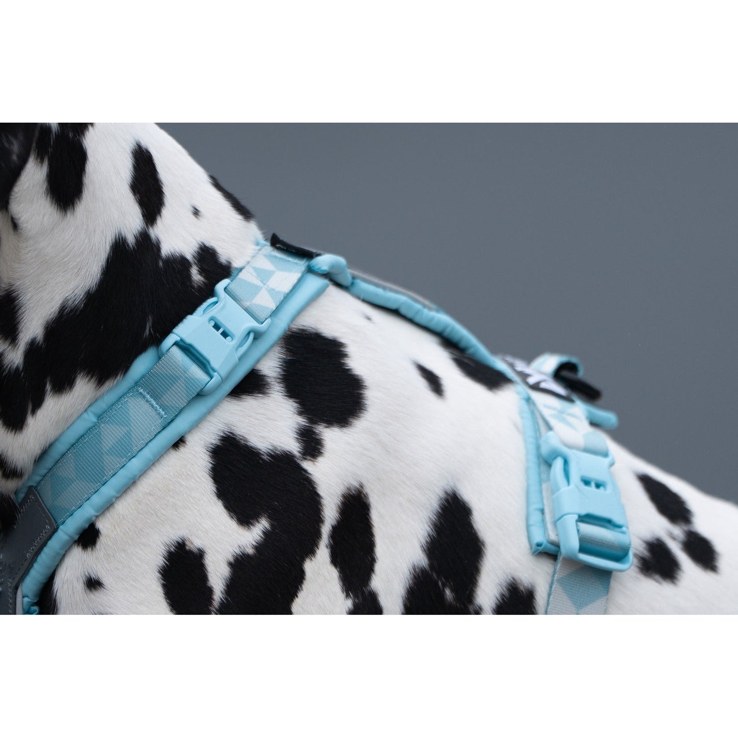 Non-stop dogwear Trekking Line Harness CLIP'N™