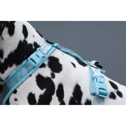 Non-stop dogwear Trekking Line Harness CLIP'N™