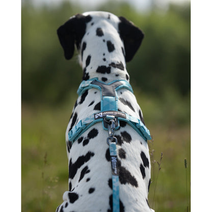 Non-stop dogwear Trekking Line Harness CLIP'N™