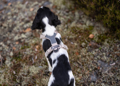 Non-stop dogwear Trekking Line Harness CLIP'N™