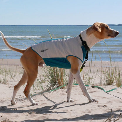 Non-stop dogwear Cooling Pull-On Vest