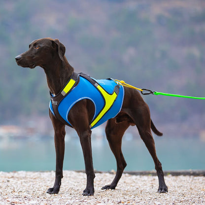 Axaeco All-Rounder Vest