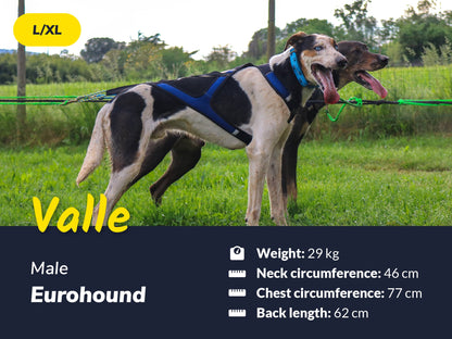 Axaeco Harness X-Shirt 2.0