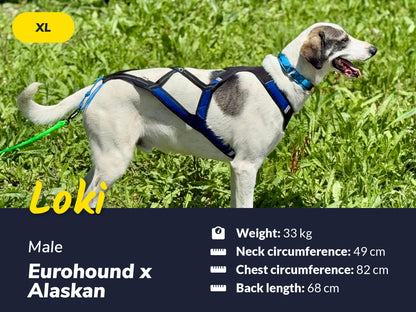 Axaeco Harness X-Shirt 2.0