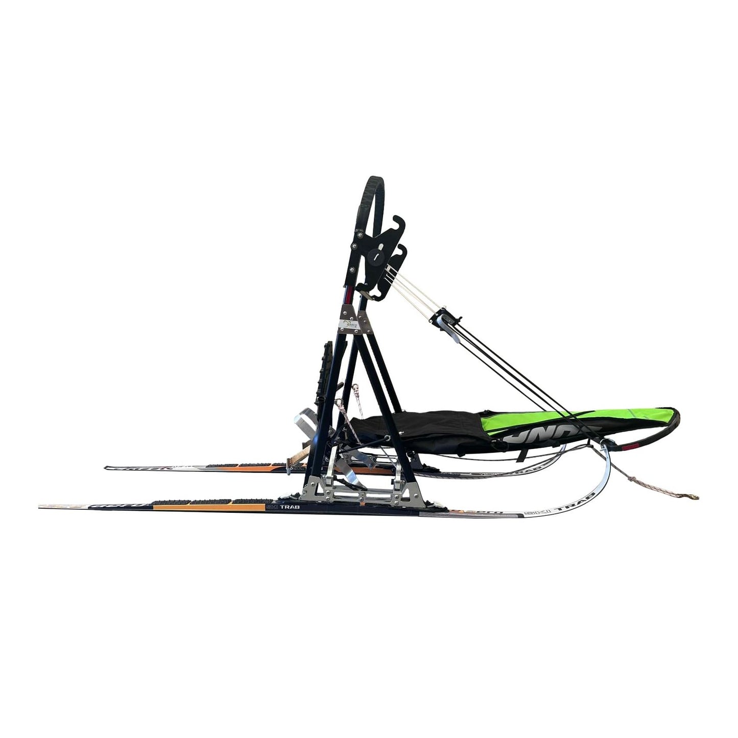Axaeco Kungen Chronos
