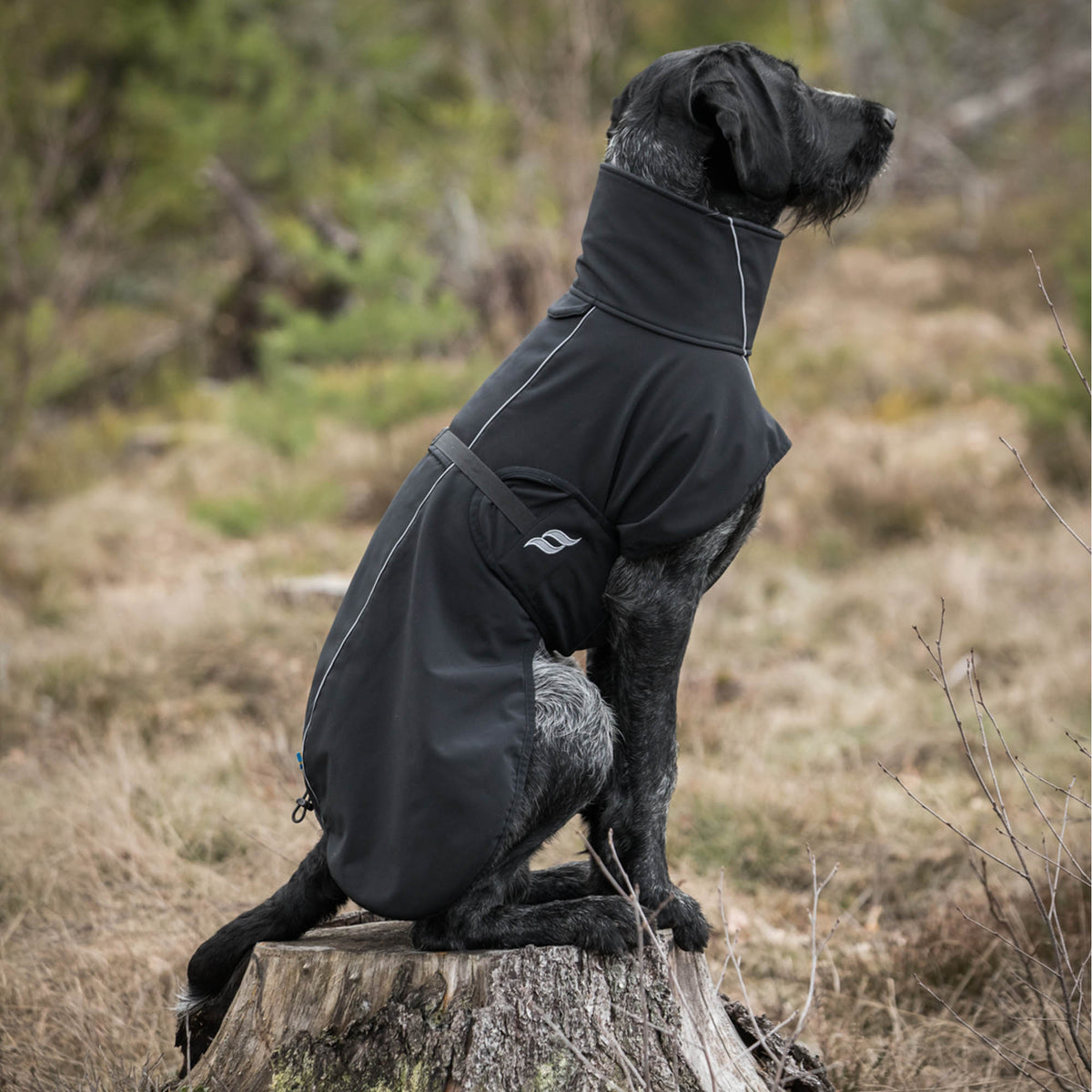 Back On Track Bark