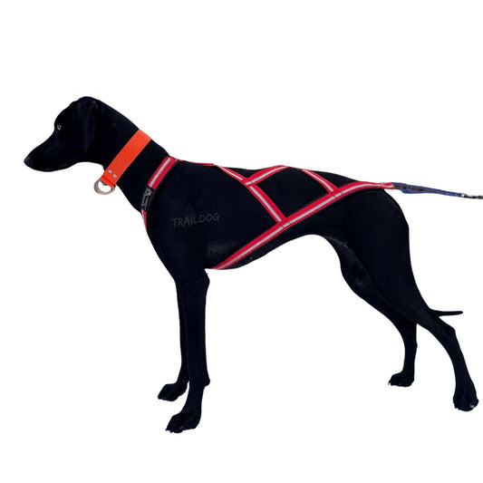 Dragråttan R-Harness