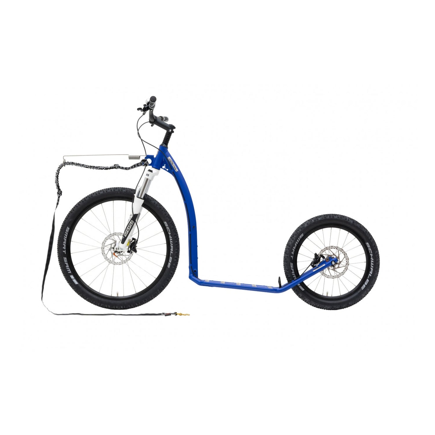 Kostka Mushing Max (G6)