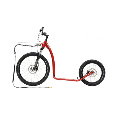 Kostka Mushing Max (G6)