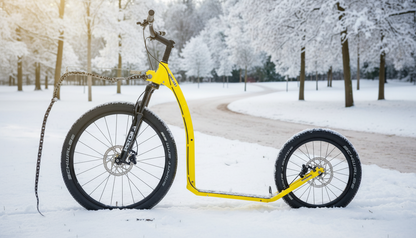 Kostka Mushing Max (G6)