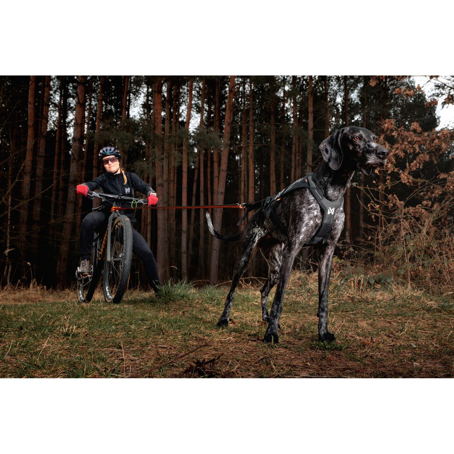 Non-stop dogwear Freemotion Harness Pro