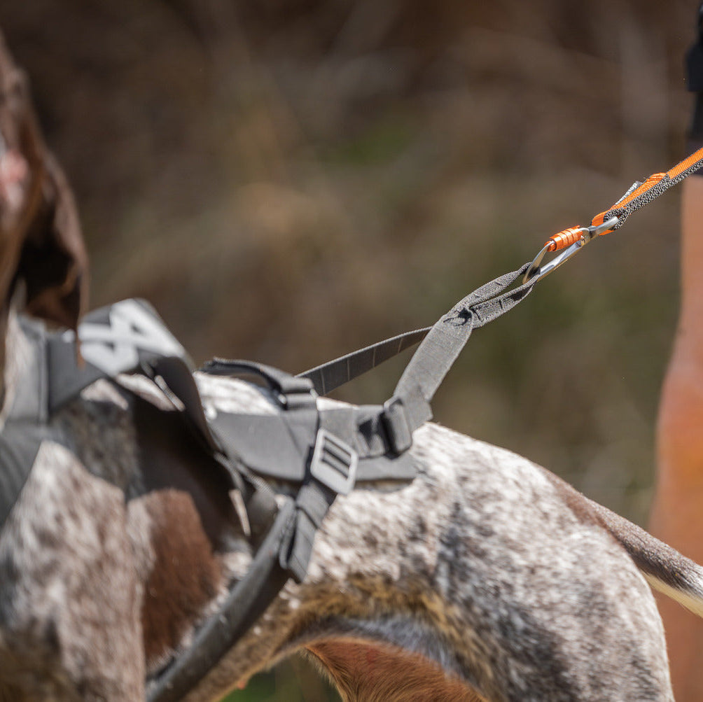 Non-stop dogwear Freemotion Harness Pro