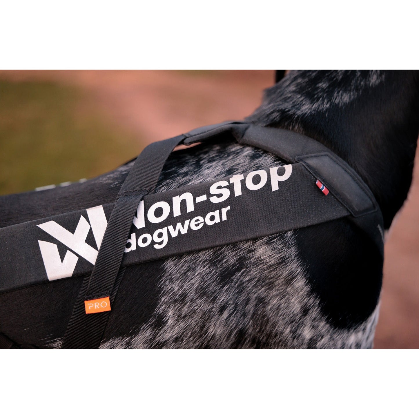 Non-stop dogwear Freemotion Harness Pro