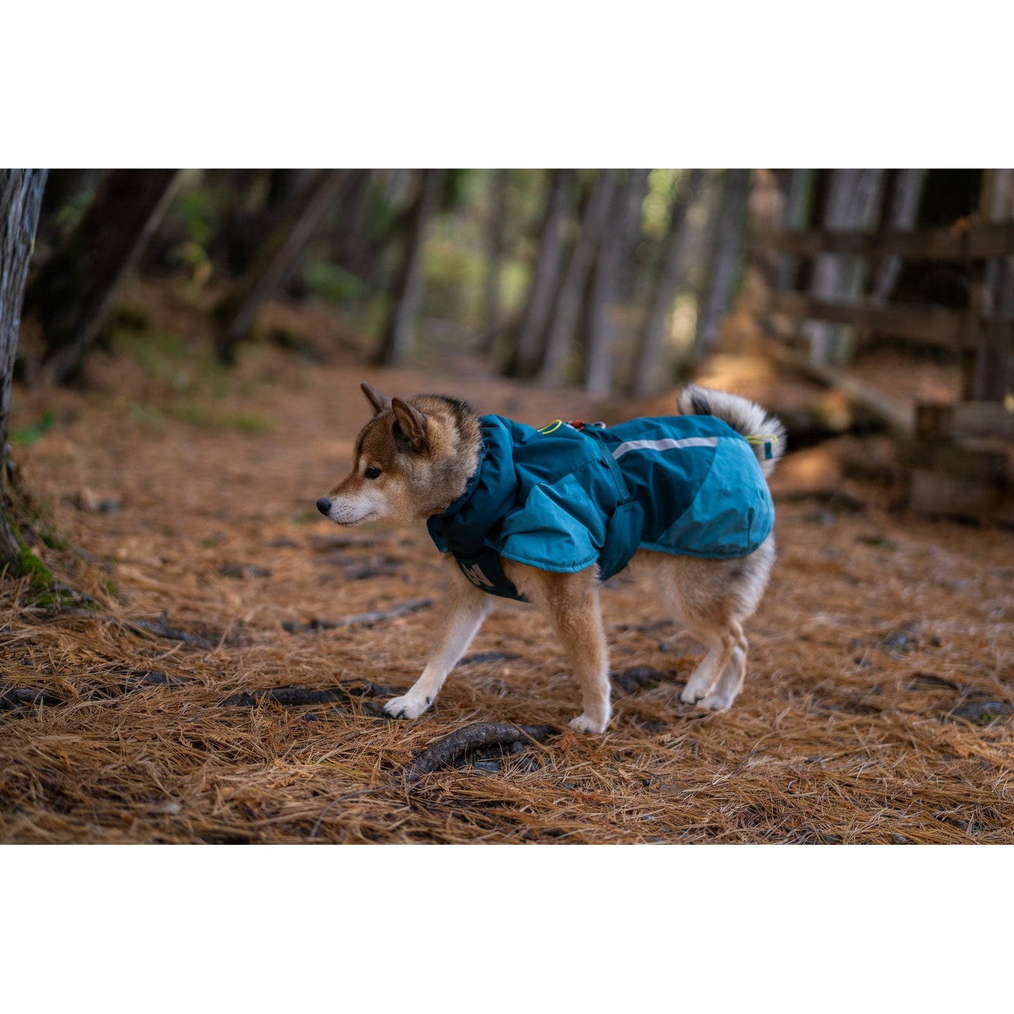 Non-stop dogwear Glacier Jacket 3.0