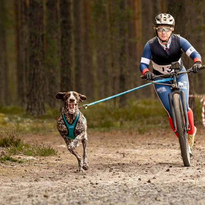 Inlandsis Bikejor Max vetoadapteri