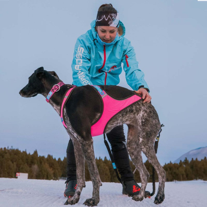 Inlandsis Blizzard Beast Harness V2