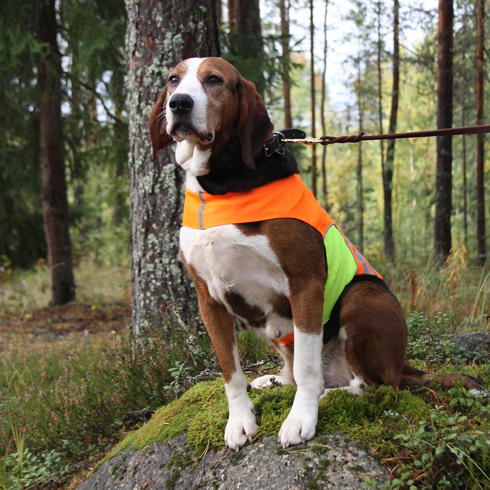 Kivalo Kajo Warnweste für Hunde