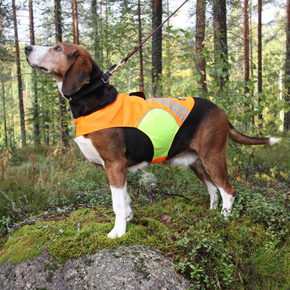 Kivalo Kajo Warnweste für Hunde