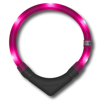 neonpinkki led valopanta koiralle