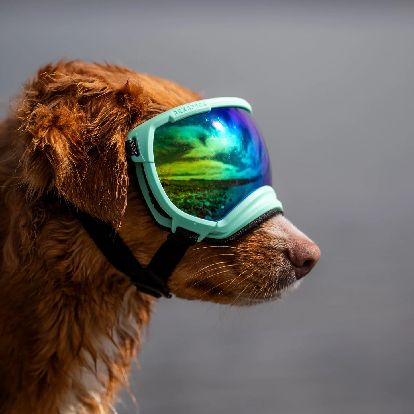 Rex Specs V2 Goggle