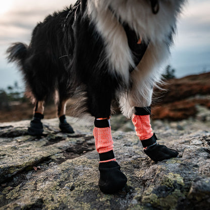 Non-stop dogwear Protector Bootie High, 4 kpl