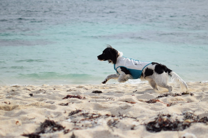Non-stop dogwear Cooling Pull-On Vest