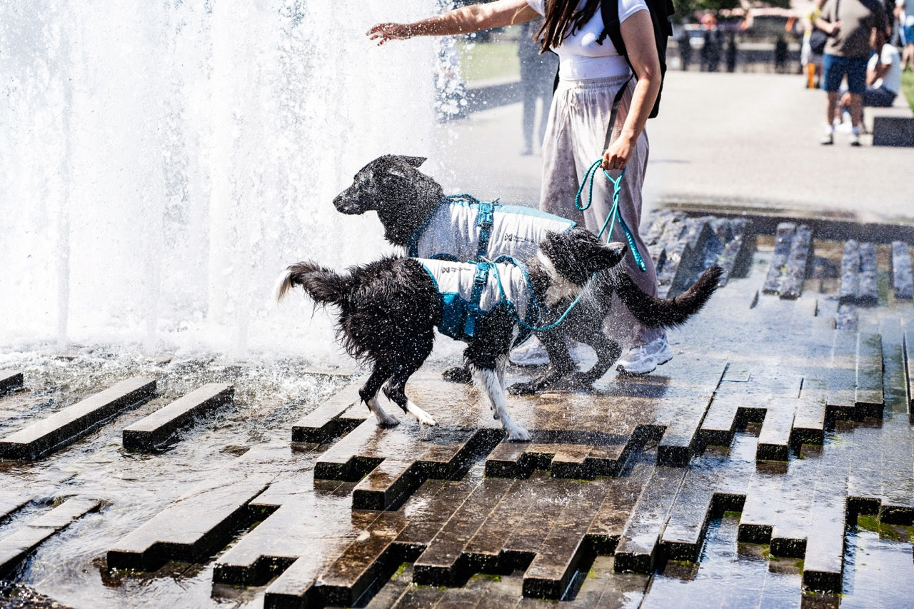 Non-stop dogwear Cooling Pull-On Vest