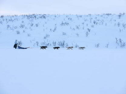 Non-stop dogwear Tundra anojakka 2.0