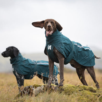 Fjord Lined dog raincoat on a deep chested German Shorthaired Pointer