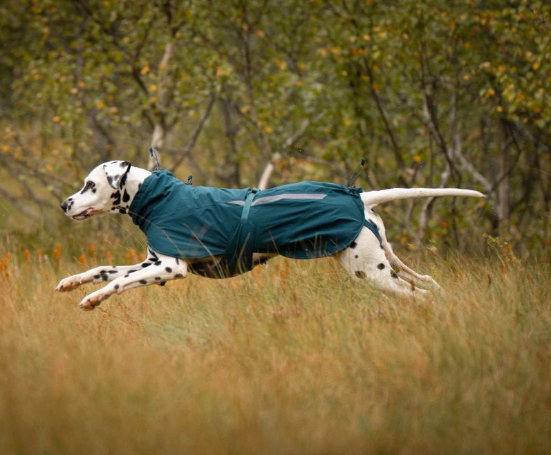 Non-stop dogwear Fjord Lined Raincoat