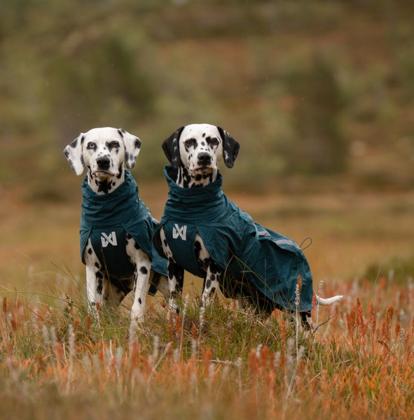 Non-stop dogwear Fjord Lined Raincoat