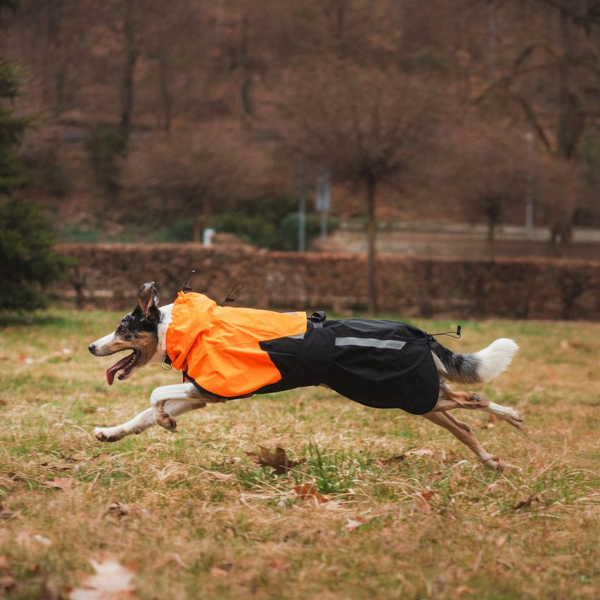 Non-stop dogwear Fjord Raincoat 2.0
