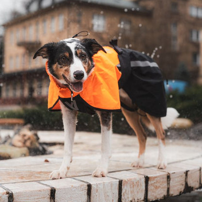 Non-stop dogwear Fjord Raincoat 2.0