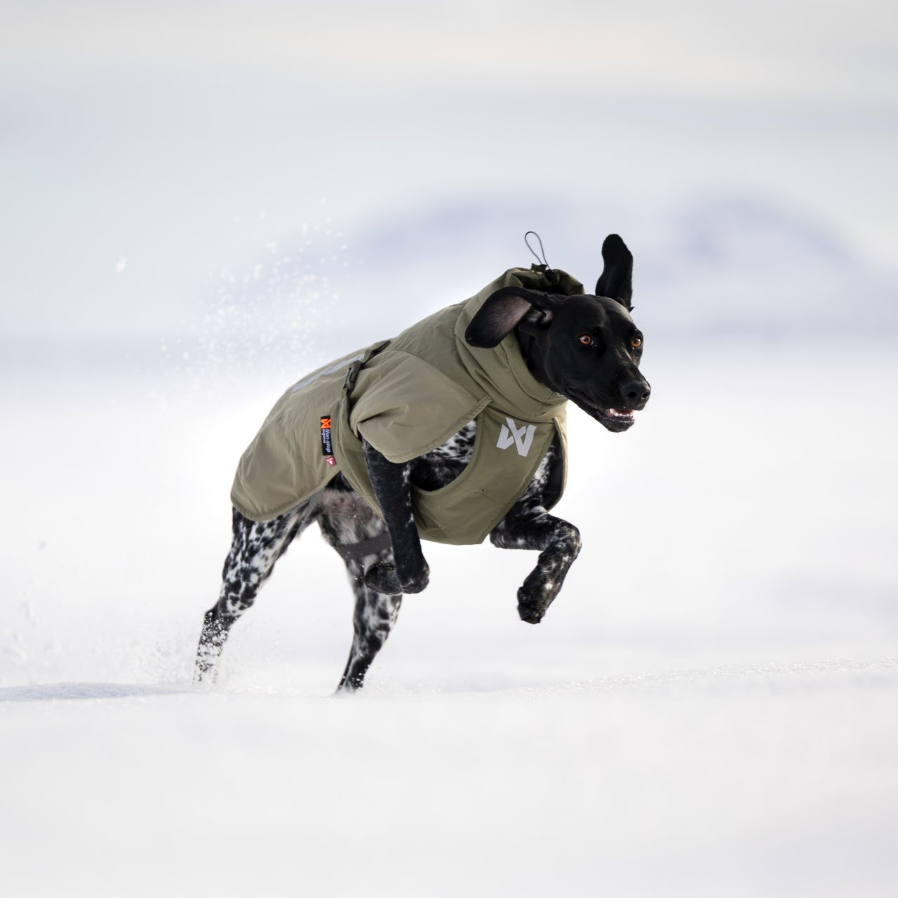 Non-stop dogwear Glacier Wool 3.0 dog winter jacket with wool