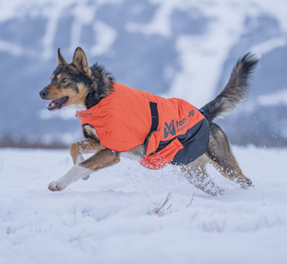 Non-stop dogwear Long distance + jacket
