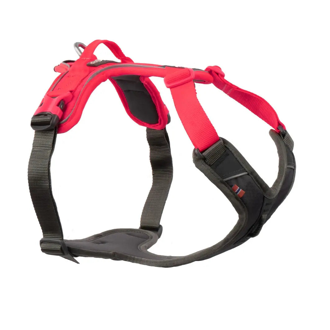 Non-stop dogwear Ramble Harness