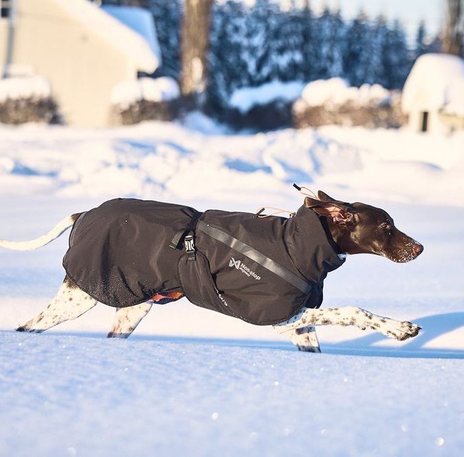 Non-stop dogwear Trekking Insulated Jacket