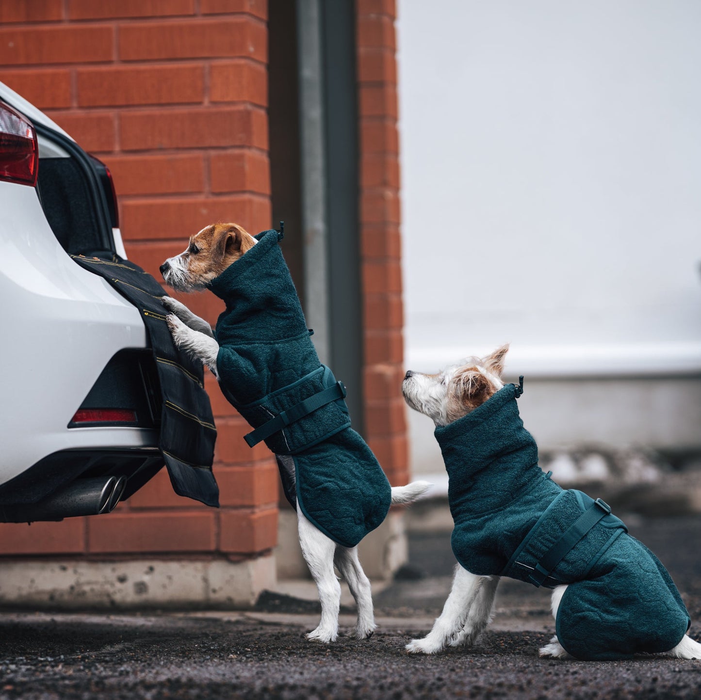 Non-stop dogwear Drying Coat