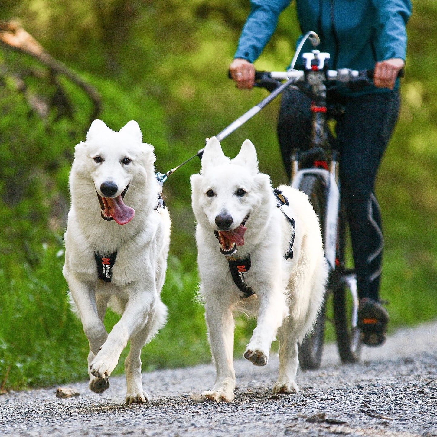 Non-stop dogwear Bike Antenna KlickFix