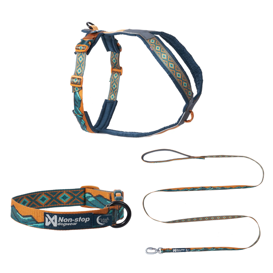 Non-stop dogwear Rachel Pohl Teal Bundle