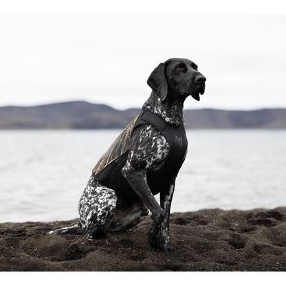 Non-stop dogwear Protector Neoprene Vest Light