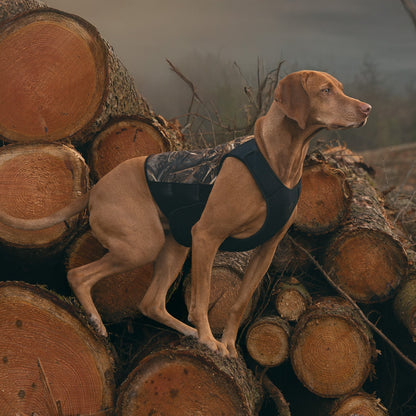 Non-stop dogwear Protector Neoprene Vest Light