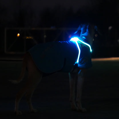 Noxgear Lighthound