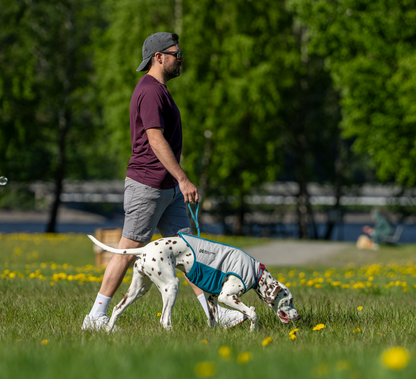 Non-stop dogwear Cooling Pull-On Vest