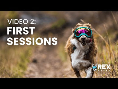 Rex Specs V2 Goggle