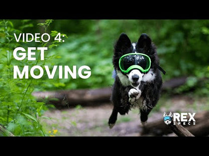 Rex Specs V2 Goggle