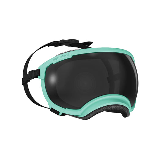 Rex Specs V2 Goggle