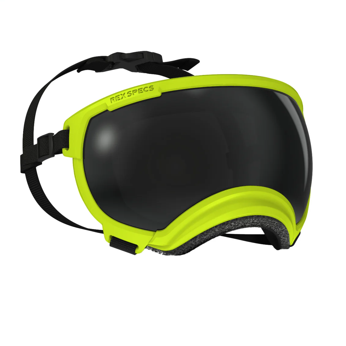 Rex Specs V2 Goggle