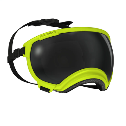 Rex Specs V2 Goggle