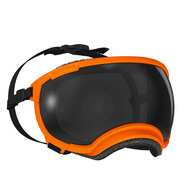 Rex Specs V2 Goggle